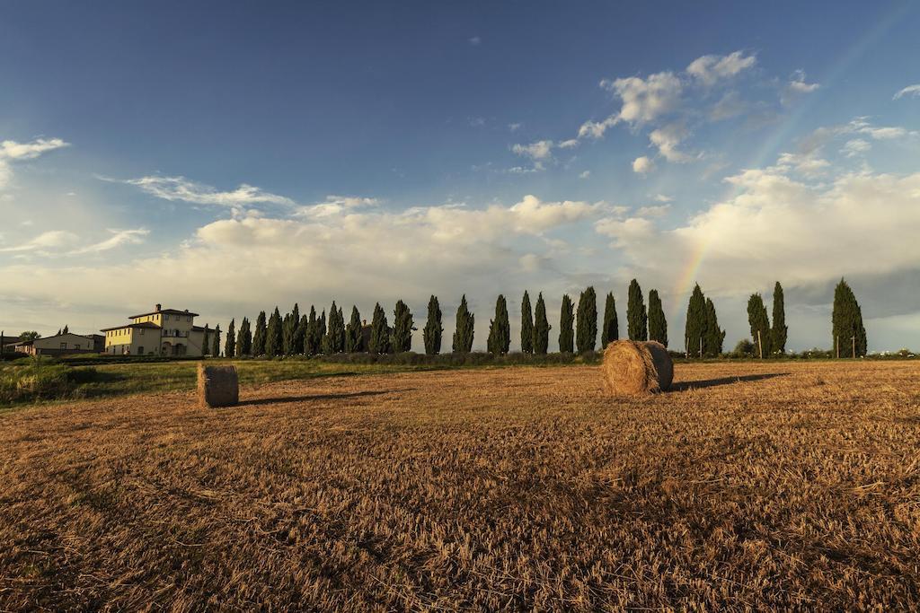 Casale Podernovo Terricciola Exterior photo